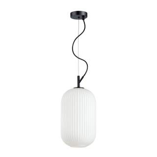 4751/1 PENDANT ODL21 489 белый/черный Подвес E27 60W ROOFI | Odeon Light OL4751/1