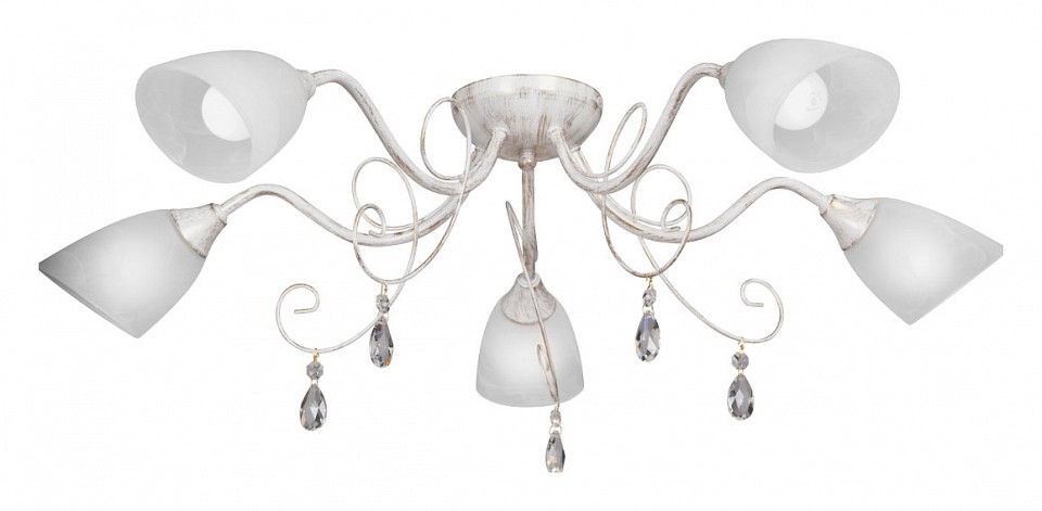 Потолочная люстра Vitaluce V1473 V1473/5PL | Vitaluce VIV14735PL