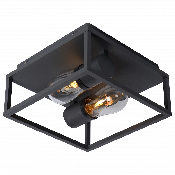 Накладной светильник Lucide Carlyn 27100/02/30 | Lucide LCD271000230