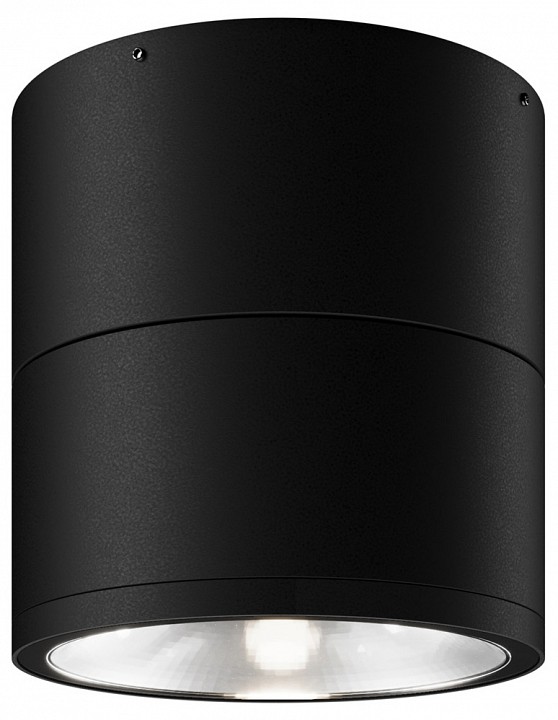 Накладной светильник Maytoni Spin O310CL-L12GF3K | Maytoni MYO310CL-L12GF3K