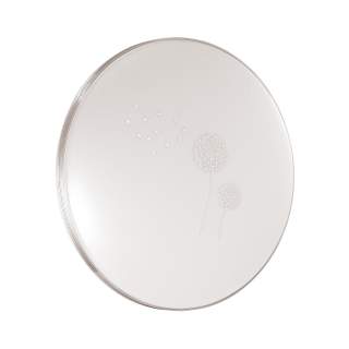3005/EL SN 062 Светильник пластик LED 72Вт 3000-6500K D495 IP43 пульт ДУ/ LampSmart AIRITA | Sonex SN3005/EL