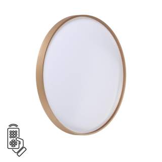 7783/EL TAN SN 000 Светильник пластик/белый/золото LED 70Вт 3000-6000К D498 IP43 пульт ДУ GABY | Sonex SN7783/EL