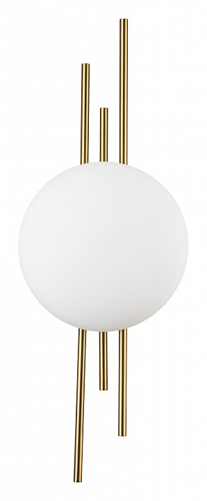 Накладной светильник Indigo Astro 14007/1W Brass | Indigo INDGV000044L