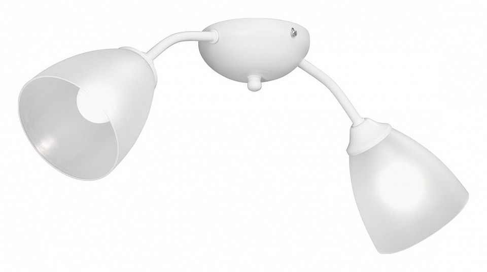 Накладной светильник Vitaluce V3184 V3737-0/2PL | Vitaluce VIV3737-02PL