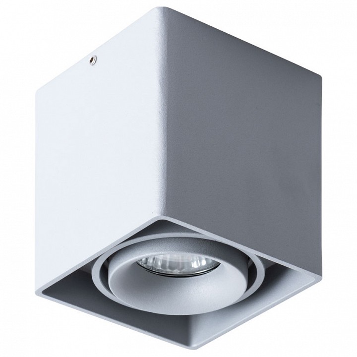 Накладной светильник Arte Lamp Pictor A5654PL-1GY | Arte Lamp ARA5654PL_1GY