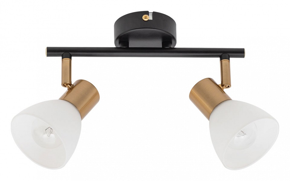 Спот Arte Lamp Falena A3117PL-2BK | Arte Lamp ARA3117PL-2BK