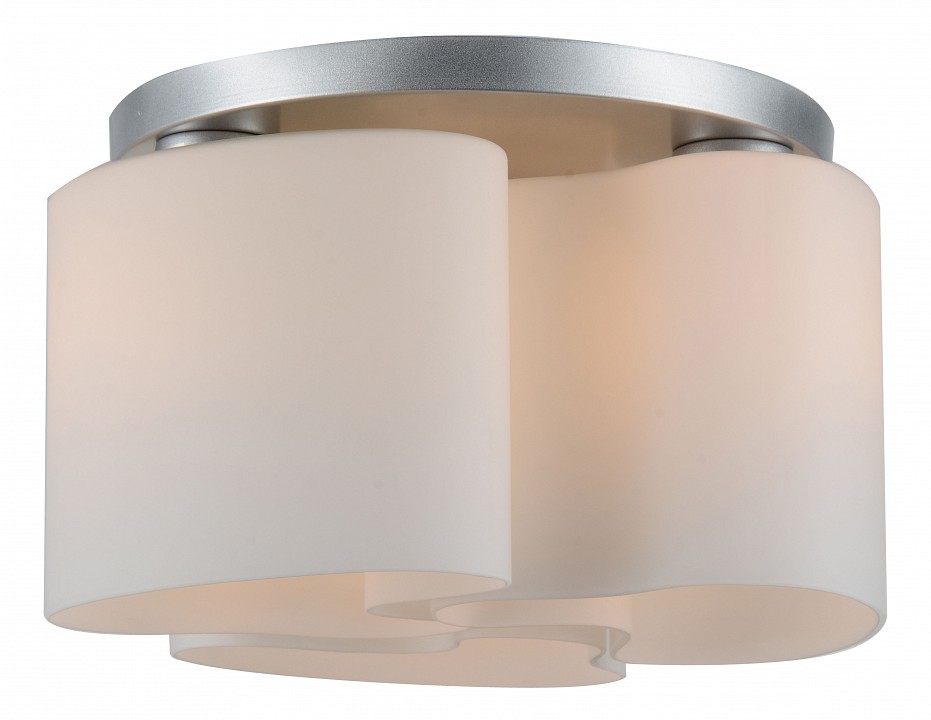 Накладной светильник ST-Luce Nuvole SL545.502.03 | ST-Luce SL545.502.03