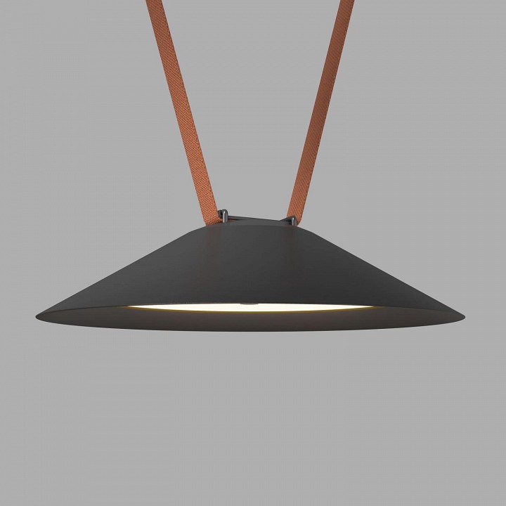 Накладной светильник Denkirs BELTY FLOW DK5565-BK | Denkirs DKDK5565-BK