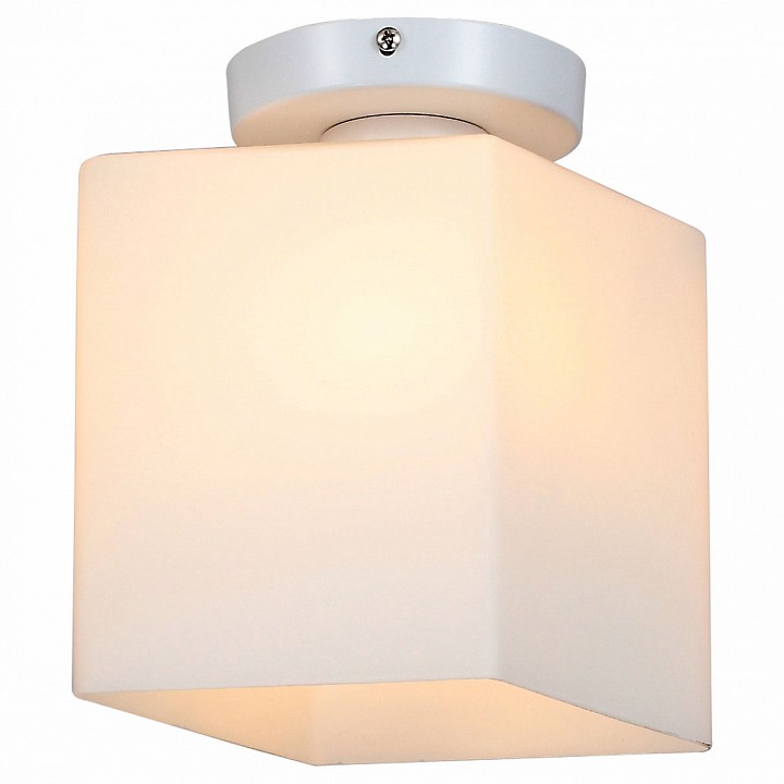 Накладной светильник ST-Luce Aspetto SL548.501.01 | ST-Luce SL548.501.01