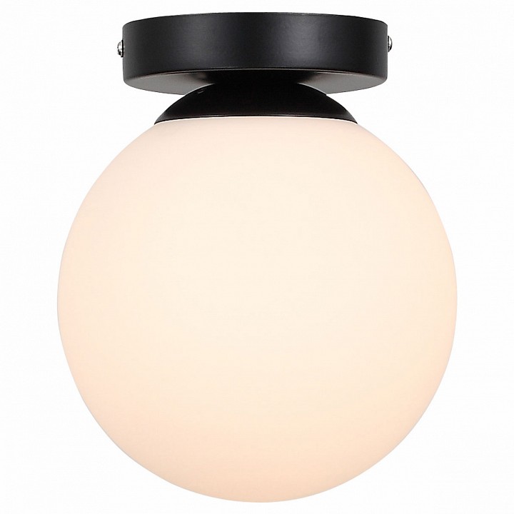 Накладной светильник ST-Luce Acini SL717.401.01 | ST-Luce SL717.401.01