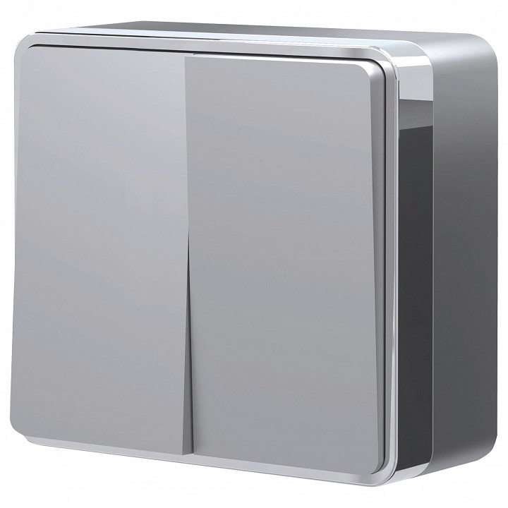 Выключатель двухклавишный Werkel Gallant (серебряный) W5020006 | Werkel WRKa052769