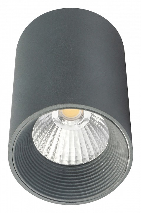 Накладной светильник Escada 20003 20003SMU/01LED SGY | Escada ESC20003SMU01LEDSGY
