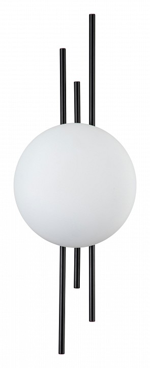 Накладной светильник Indigo Astro 14007/1W Black | Indigo INDGV000045L