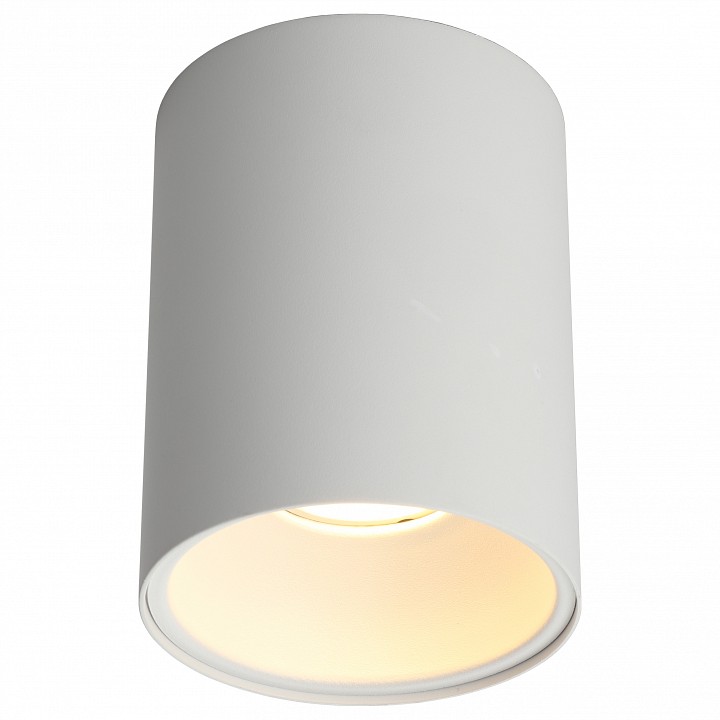 Накладной светильник Omnilux Cariano OML-101209-01 | Omnilux OMOML-101209-01