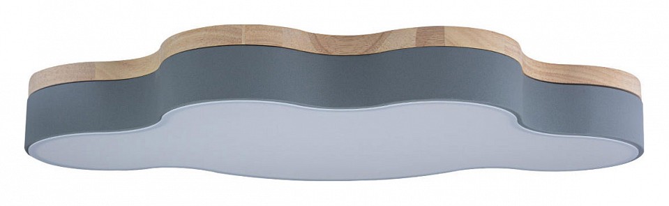 Накладной светильник Loft it Axel 4 10005/36 Grey | Loft it LF1000536Grey
