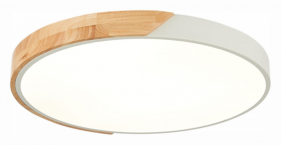 Накладной светильник EVOLUCE Festa SLE200952-01 | EVOLUCE EVOSLE200952-01