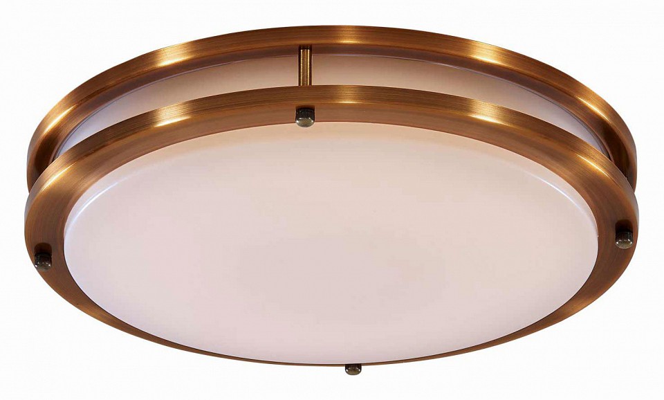 Накладной светильник Citilux Бостон CL709323N | Citilux CL709323N
