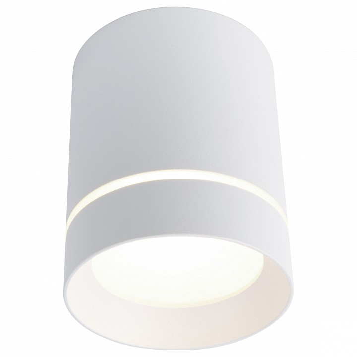 Накладной светильник Arte Lamp Elle A1909PL-1WH | Arte Lamp ARA1909PL-1WH