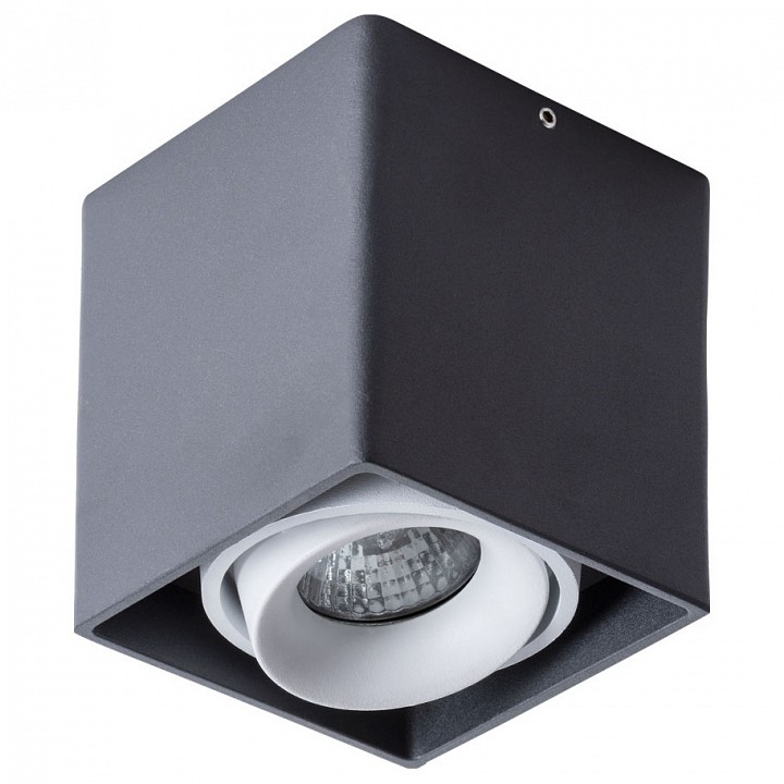 Накладной светильник Arte Lamp Pictor A5654PL-1BK | Arte Lamp ARA5654PL_1BK