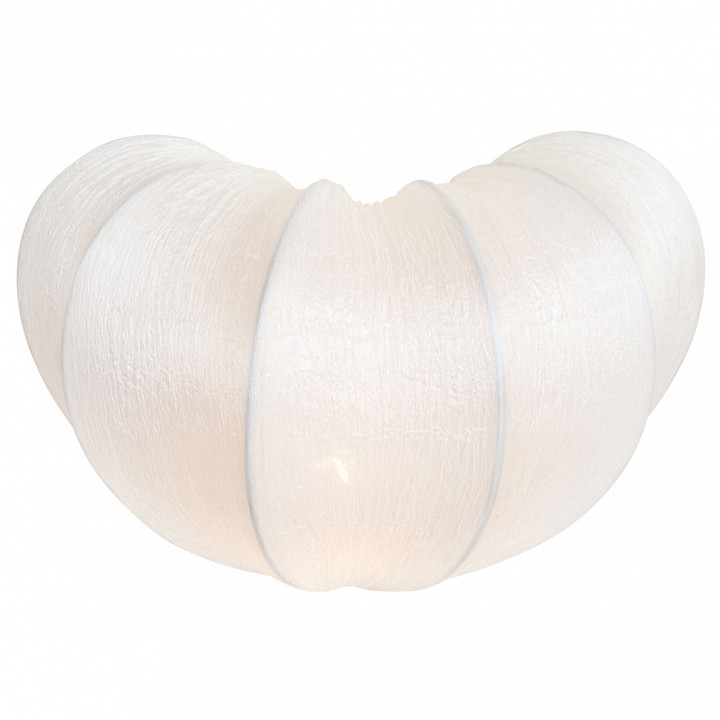 Накладной светильник Arte Lamp Cocoon A6180AP-1WH | Arte Lamp ARA6180AP_1WH