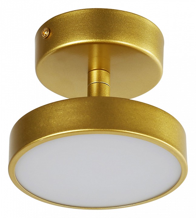Светильник на штанге F-promo Atma 3059-1P | F-promo FV3059-1P