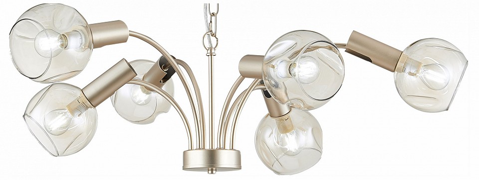 Подвесная люстра EVOLUCE Balchino SLE104203-06 | EVOLUCE EVOSLE104203_06