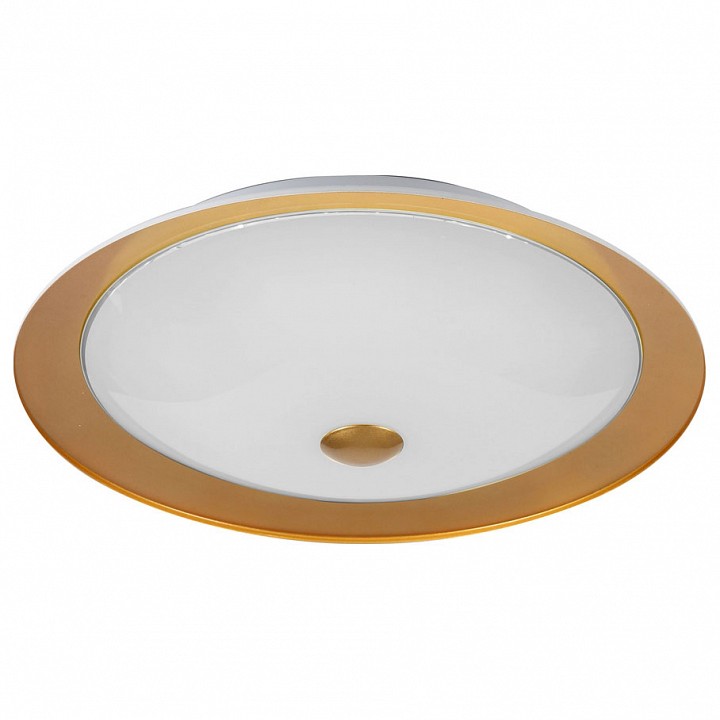 Накладной светильник Maytoni Euler CL815-PT50-G | Maytoni MYCL815_PT50_G
