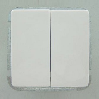 Выключатель двухклавишный без рамки Imex 1122L 1122L-S100 | Imex IMX1122L_S100