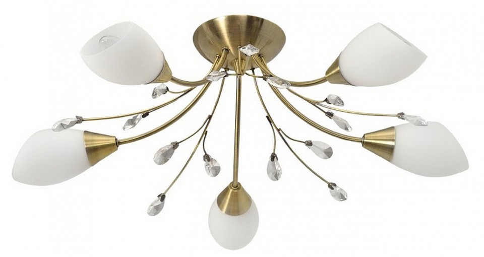 Потолочная люстра MW-Light Нежность 356012905 | MW-Light MW356012905