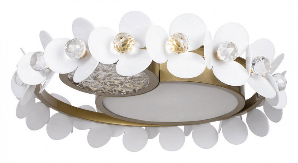 Накладной светильник Loft it Bride 10173 | Loft it LF10173