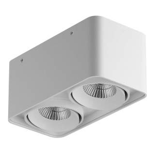 052326-IP65 Светильник MONOCCO LED 2х10W 1200LM 30G БЕЛЫЙ 3000K (в комплекте) | Lightstar LS052326