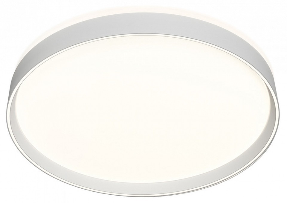 Накладной светильник Denkirs PLATO DK6510-WH | Denkirs DKDK6510-WH
