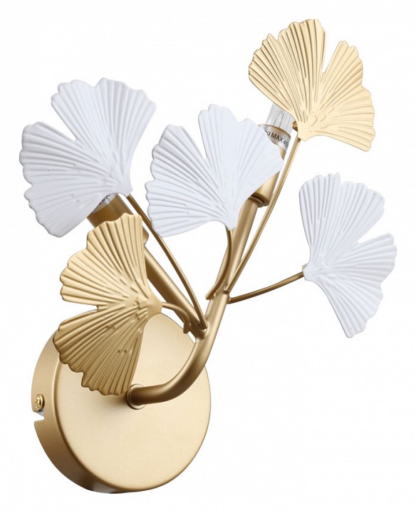 Бра Favourite Ginkoa 4080-2W | Favourite FV4080-2W