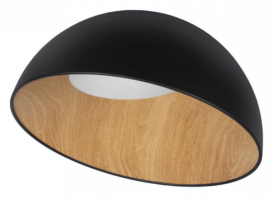 Накладной светильник Loft it Egg 10197/500 Black | Loft it LF10197500Black
