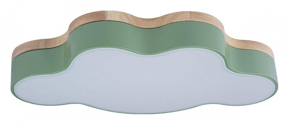Накладной светильник Loft it Axel 4 10005/30 Green | Loft it LF1000530Green