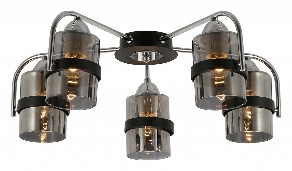 Потолочная люстра EVOLUCE Fiumo SLE102002-05 | EVOLUCE EVOSLE102002_05