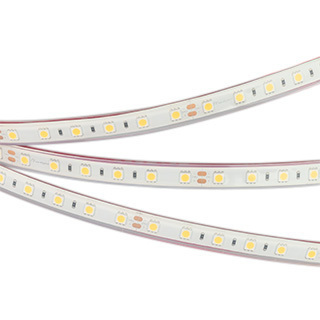 Лента RTW 2-5000PGS 24V Day 2x (5060, 300 LED, LUX) (Arlight, 14.4 Вт/м, IP67) | Arlight 015454
