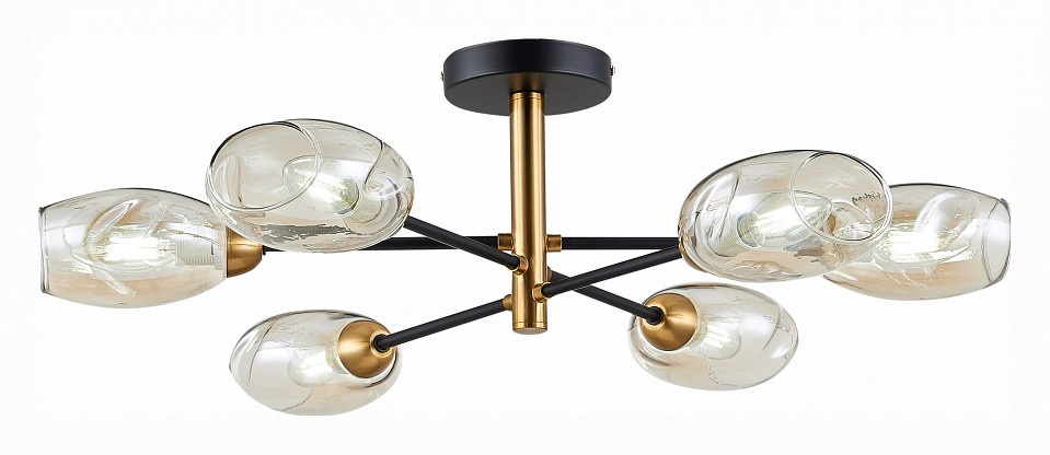 Люстра на штанге EVOLUCE Gloa SLE155502-06 | EVOLUCE EVOSLE155502-06