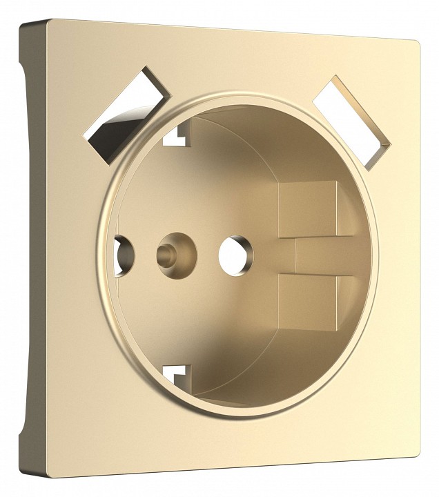 Накладка для розетки с заземлением и 2хUSB Werkel шампань W1179511 | Werkel WRKa050854