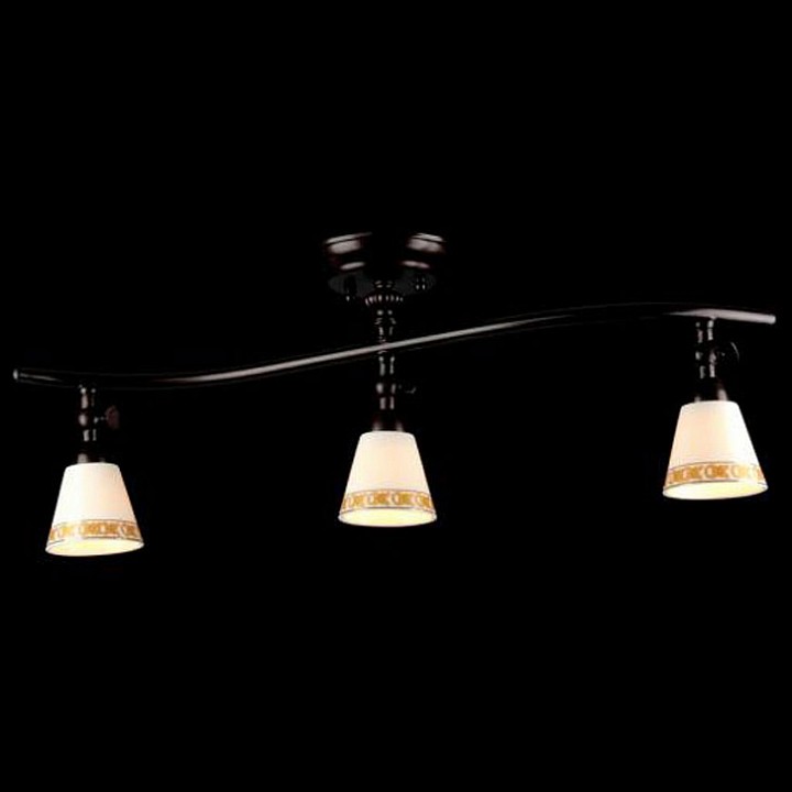 Спот Maytoni Spot 1 ECO001-03-R | Maytoni MYECO001_03_R