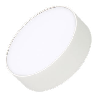 Светильник IM-RONDO-EMERGENCY-3H-R175-19W Day4000 (WH, 120 deg, 230V) (Arlight, IP40 Металл) | Arlight 041051