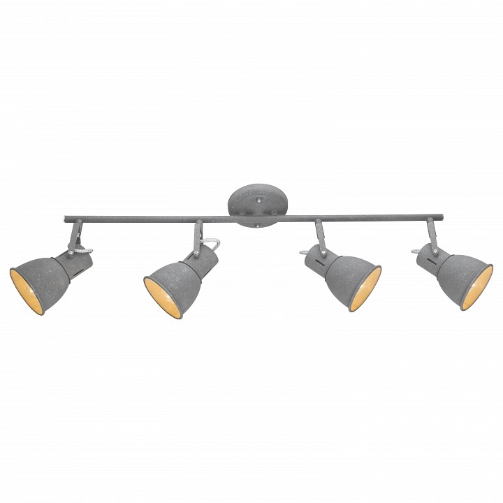 Спот Arte Lamp 1677 A1677PL-4GY | Arte Lamp ARA1677PL_4GY