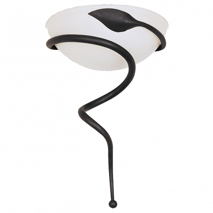 Накладной светильник Arte Lamp Cobra A2901AP-1BR | Arte Lamp ARA2901AP_1BR