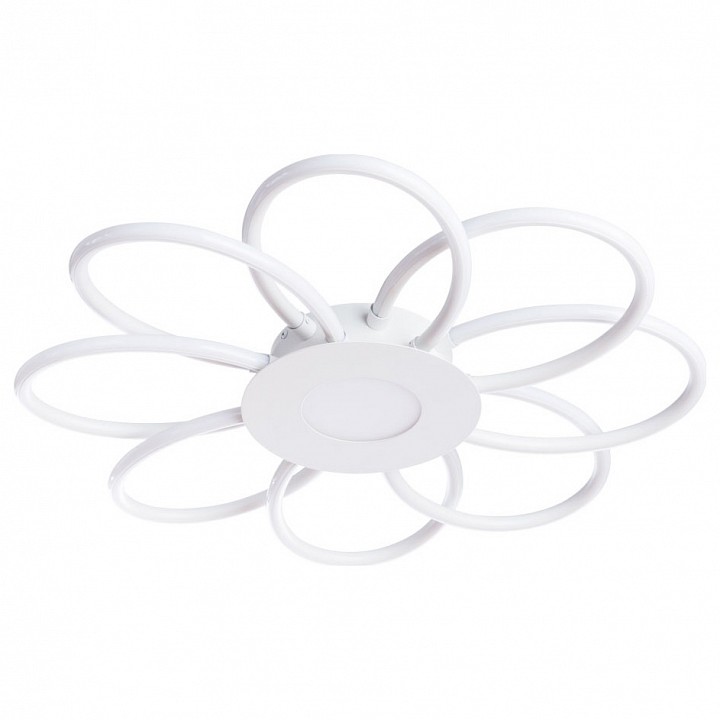 Накладной светильник Arte Lamp Polli A2528PL-8WH | Arte Lamp ARA2528PL_8WH