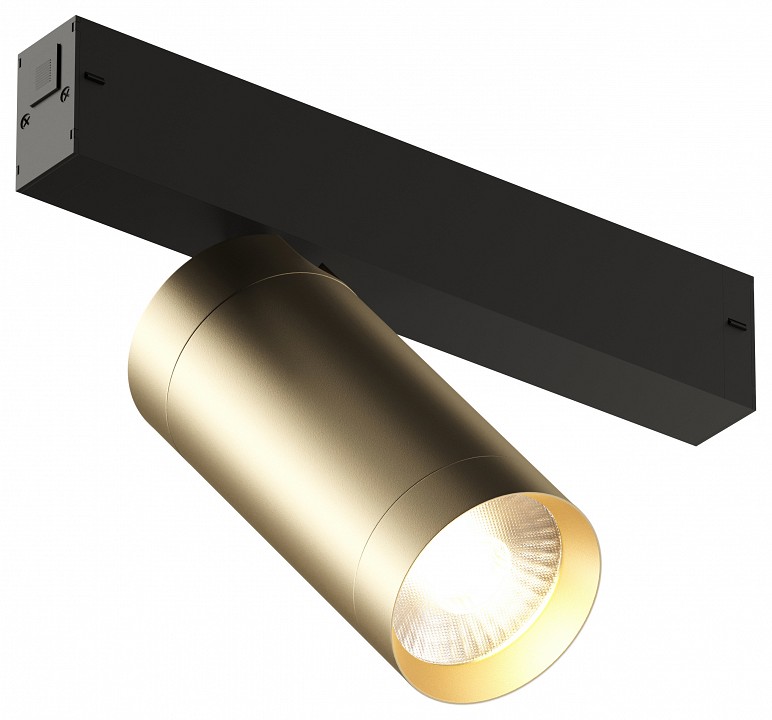 Светильник на штанге Denkirs Smart DK8020-BG | Denkirs DKDK8020-BG