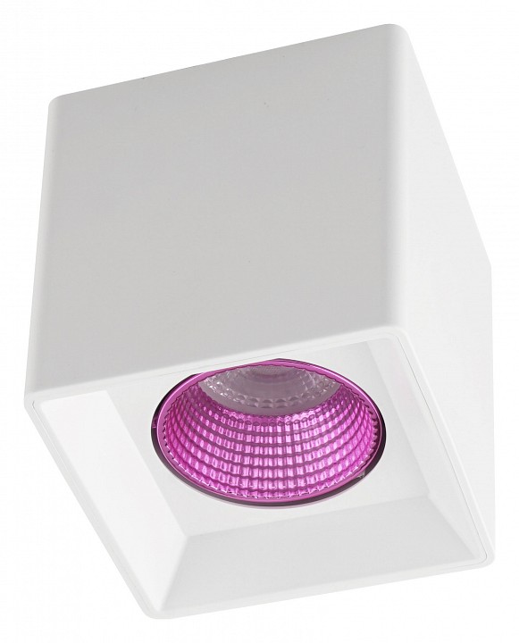 Накладной светильник Denkirs DK3020WPI DK3080-WH+PI | Denkirs DKDK3080_WHPI