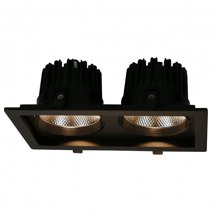 Встраиваемый светильник Arte Lamp Privato A7018PL-2BK | Arte Lamp ARA7018PL_2BK