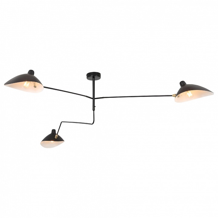 Люстра на штанге ST-Luce Spruzzo SL305.402.03 | ST-Luce SL305.402.03