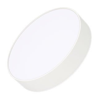 Светильник IM-RONDO-EMERGENCY-3H-R250-33W Day4000 (WH, 120 deg, 230V) (Arlight, IP40 Металл) | Arlight 041061