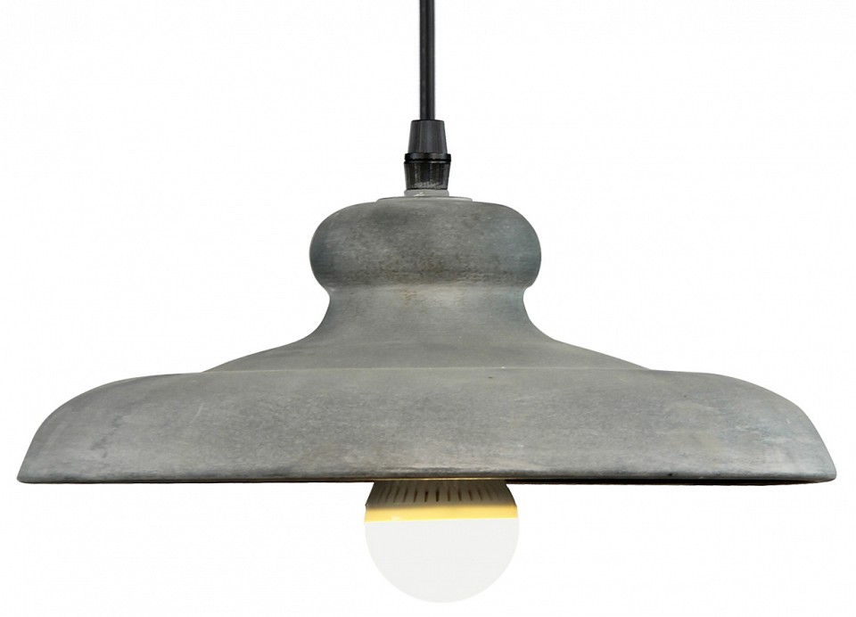 Подвесной светильник Arte Lamp Loft A5025SP-1BG | Arte Lamp ARA5025SP_1BG